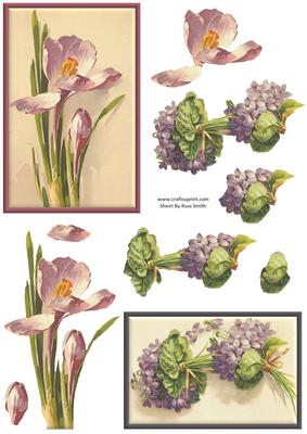 Purple Flowers Duodeco