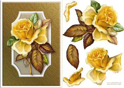 Yellow Rose Quick Card