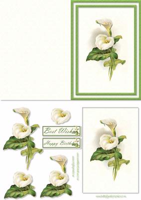 Calla Lily Card Front