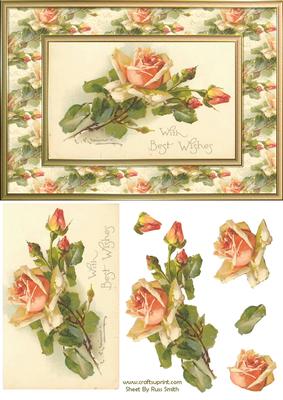 Orange Roses Quick Card