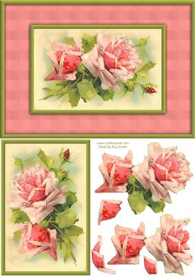 Pink Roses Quick Card
