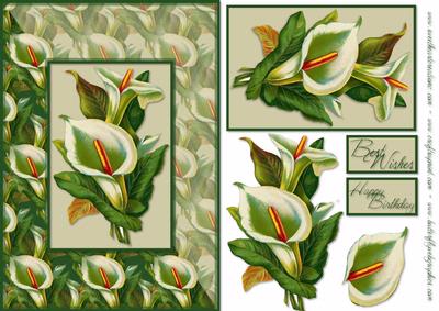 Calla Lilies Card Front