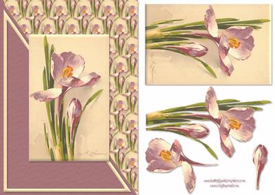 Purple Flower Card Front