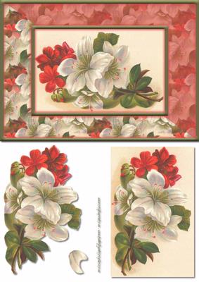 Red and White Flower Card Front