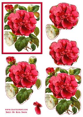 Pink & White Flowers Easy to Cut Decoupage