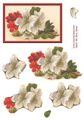 Red & White Flowers Easy to Cut Decoupage