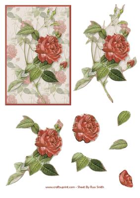 Red & White Roses Easy to Cut Decoupage