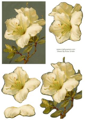 White Flower Easy to Cut Decoupage