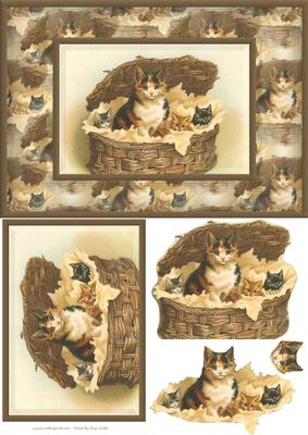 Cats Easy to Cut Quick Card