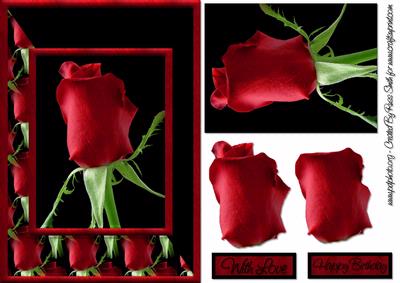 Stunning Red Rose Card Front