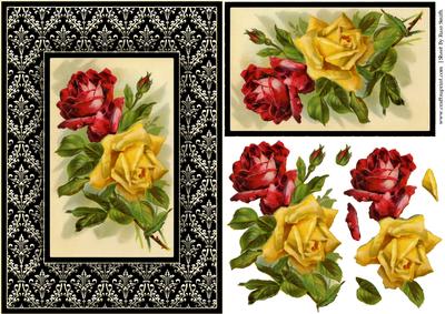 Beautiful Roses Quick Card