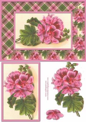 Pink Flowers Card Front
