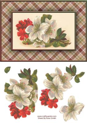 Red & White Flowers Quick Card