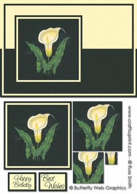 Lily Card Front