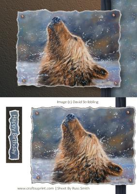 Bear in Water Painting Quick Card