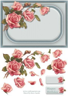 Pink Roses on Blue Quick Card