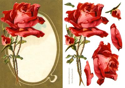 Red Rose Quick Card