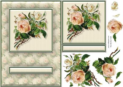 Cream Roses Quick Card
