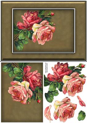 Pink Roses Quick Card