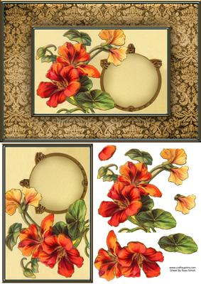 Orange Flowers Quick Card