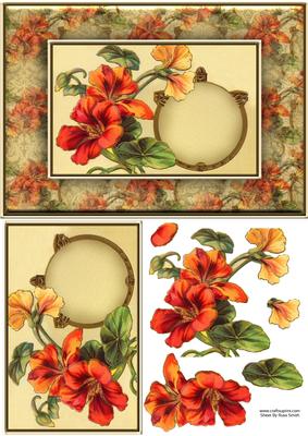 Orange Flowers Quick Card