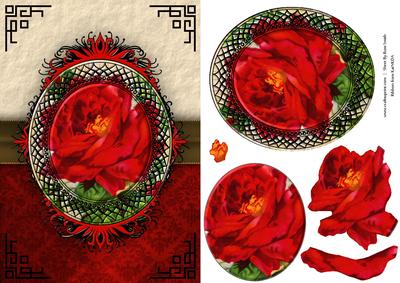 Vibrant Red Rose Quick Card