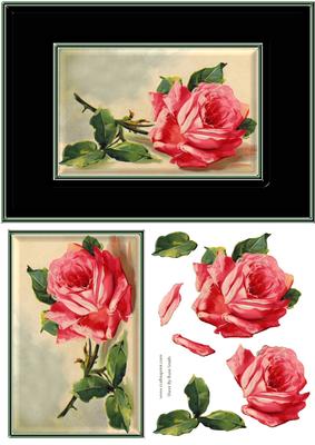 Pink Rose Quick Card