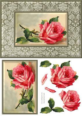 Pink Rose Quick Card