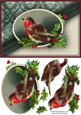 Robin & Holly Quick Card