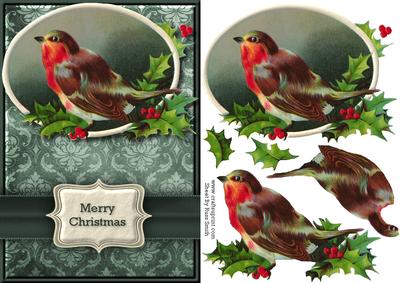Robin & Holly Quick Card