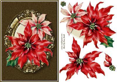 Poinsettias Quick Card