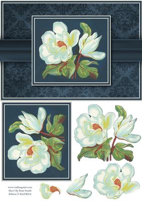 Magnolias Quick Card