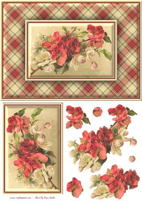 Pink & Cream Flowers Quick Card