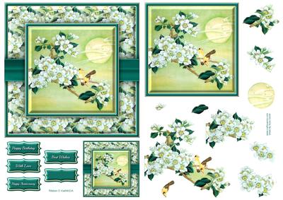 Orchids & Birds 6x6 Quick Card
