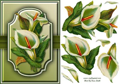 Calla Lilies Quick Card
