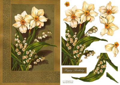 Cream Orchids Card Front & Decoupage