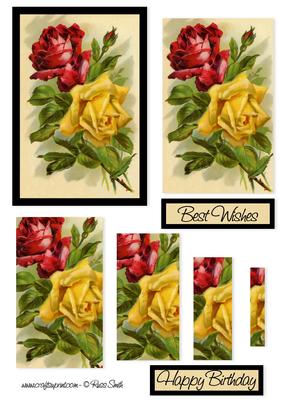 Red and Yellow Roses Pyramage