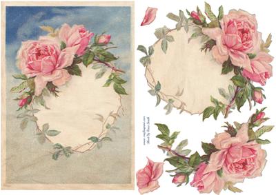 Delicate Pink Roses Quick Card