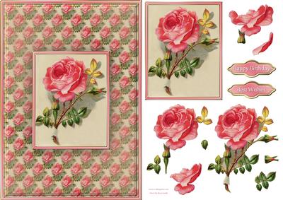 Pink Rose Quick Card