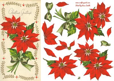 Poinsettias Quick Card