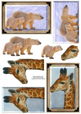 Polar Bear & Giraffe - Wildlife Duodecoupage