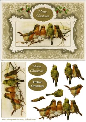 Vintage Robins Quick Card