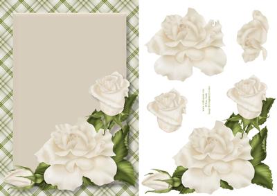 Cream Roses Card Front