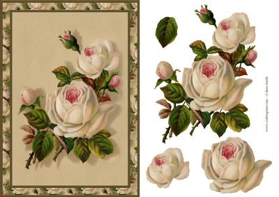 Cream Roses Card Front
