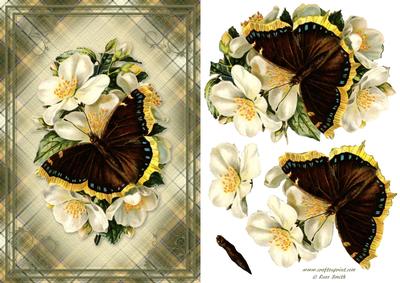 Butterfly Card Front