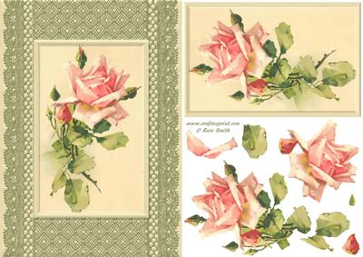 Pink Rose on Lace Card Front