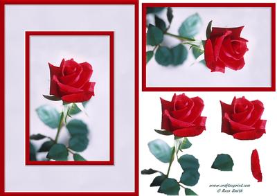 Red Rose Card Front