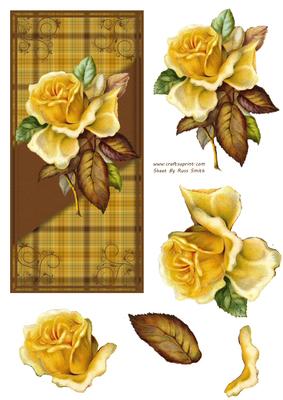 Golden Rose Dl Card Front