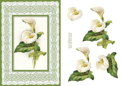 Calla Lily on Lace Card Front