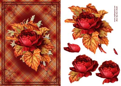 Antique Rose Card Front
